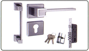 Handle Types With Mororise Lock